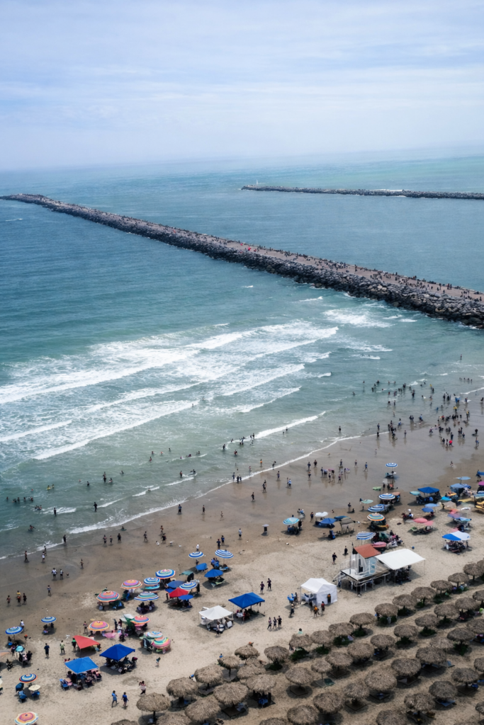 ChatGPT Image 7 ene 2026, 04_06_58